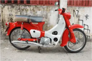 C65 Super Cub – 1965