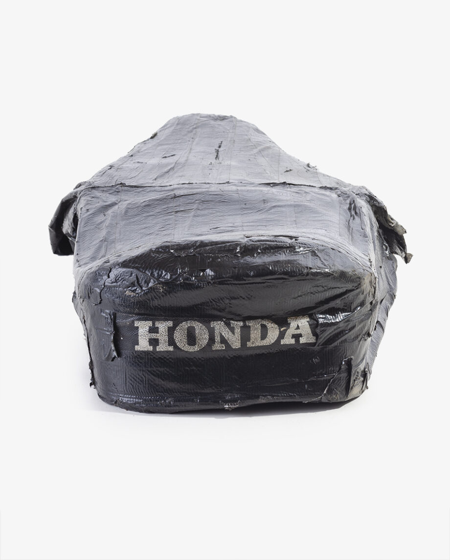 Buddydek Honda C310