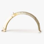 Rear Fender Honda P50 PC50 6V (7673)