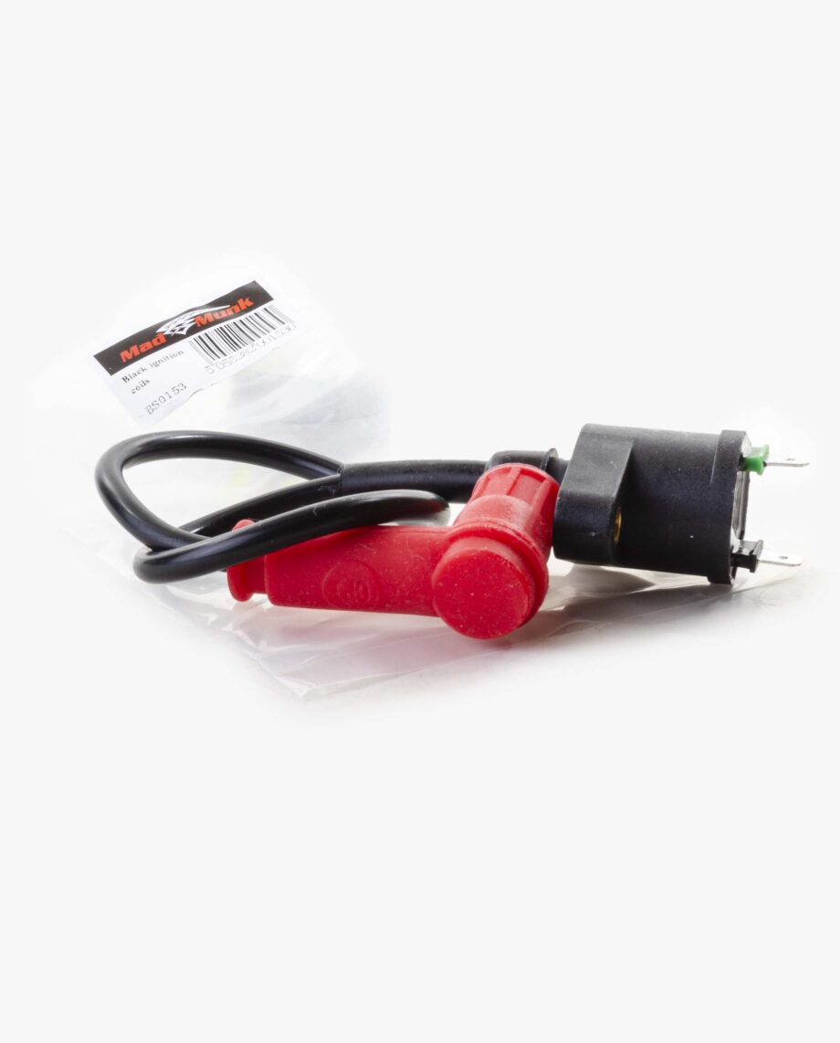 Bobine met bougiekabel 12V Universeel (10032)