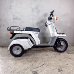 Honda Gyro X white Mileage.. 8238 (42)