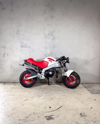 Honda Monkey R (21)