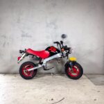 Cadre roulant Honda Monkey ZB50 - avec plaque d’immatriculation.