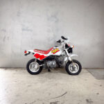 Honda Monkey Baja Mileage (7)